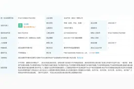 FF在湖北成立新公司，为中国总部落地黄冈准备？图片