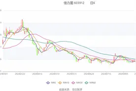佳力图：2024年上半年净利润1091.04万元 同比下降38.54%图片