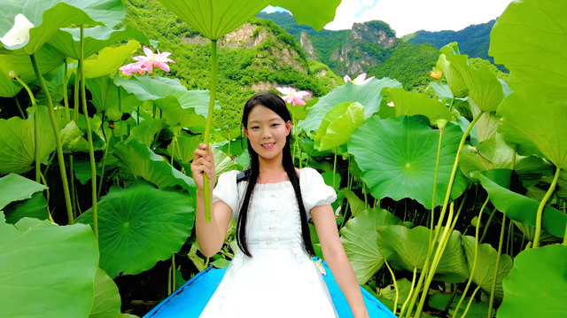 优享盛夏 清凉白山 | 长白县的荷花也太会了吧！这泼天的浪漫我接住了～#长白山下长白县