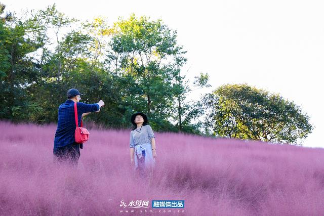 节气里的大美烟台｜霜降篇