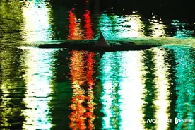 珠江内河白海豚消息更新，专家：如实施捕捞救助增埗河最理想图片