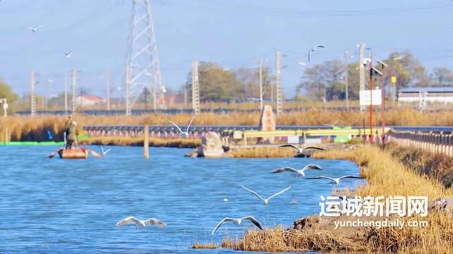运城九大观鸟胜地邀你共赴冬日童话～