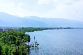 洱海里有多少种鱼？傻傻分不清它们模样？一起来识“洱海鱼”图片