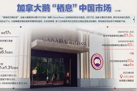 加拿大鹅全球裁员背后：中国市场挑梁图片
