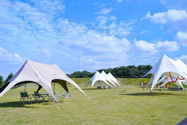 闵行竟有这样的田园惬意！品茶、露营、带娃遛狗……就藏在你熟悉的这里→