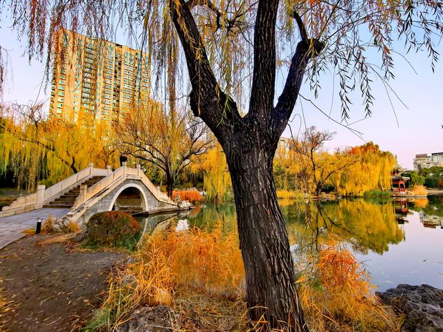 太美了！北京紫竹院如油画般梦幻