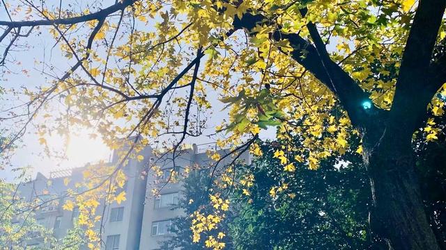 新视界｜静谧而美丽！济南的秋天美景欣赏