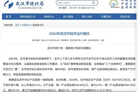 2024年武汉GDP超2.1万亿元，比上年增长5.2%图片