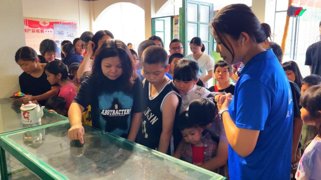 省级盛事，荣誉加冕！凤巢湾点亮“东凤湾”文旅新地标