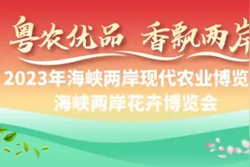 湾区优品“跨省出海” 广东展团赴海峡两岸农博会，再续“海上丝路”前缘图片