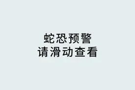 蛇能喷出2.5米远的毒液，这是专门为人准备的图片