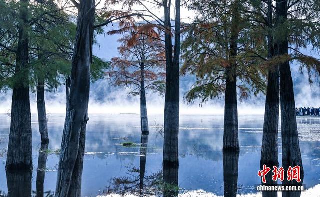 安徽奇墅湖畔晨雾美如画
