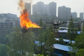 国网重庆永川供电公司用无人机成功清除马蜂窝图片