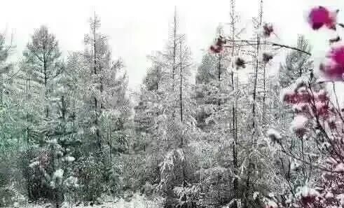 雪假在明天，抓紧来白山——游醉美边境线