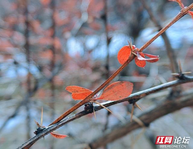 岁暖时刻丨玛嘉沟印记：从腿酸到心暖的高海拔之旅