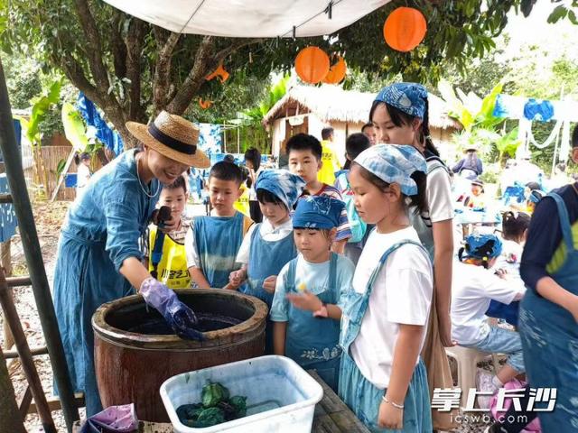光影织彩，全域共鸣！宁乡以“两个融合”为笔墨，绘就农文旅产业融合发展新图景