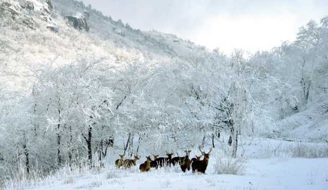 一秒云游浙里好山，诗画浙江又有新玩法