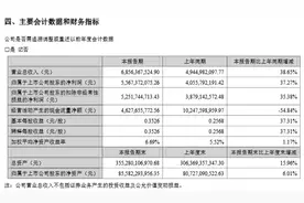东方财富上半年营收净利双增长，同比增幅均超三成图片