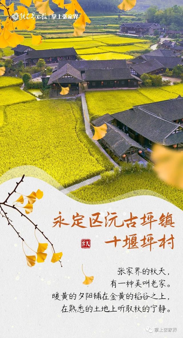 周末去哪玩丨跟着湘超株洲队，领略张家界的秋韵