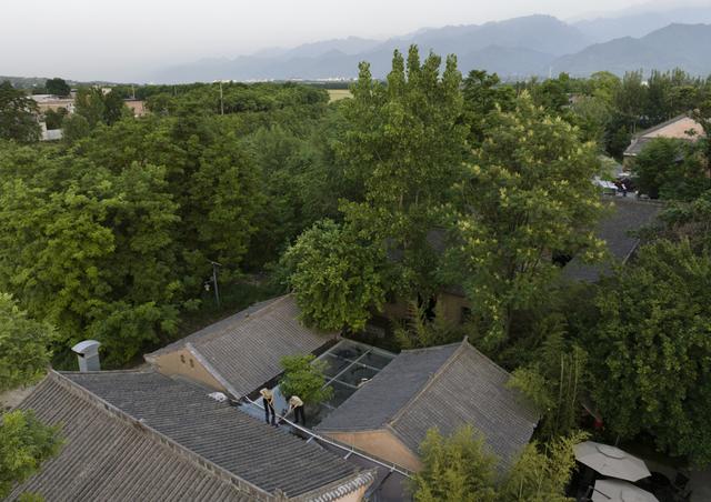 西界岭上的桃，伴我彻夜远行