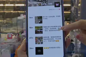 花2200元买龙猫，结果等来一只…贵阳女子：这根本不是一个品种图片