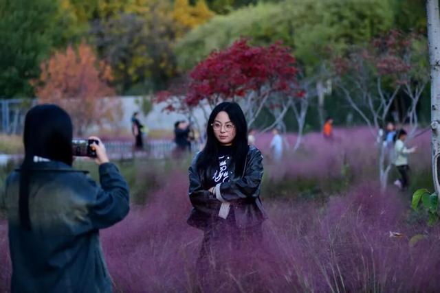 不必远行！邢台街头巷尾的彩叶之约等你赴会