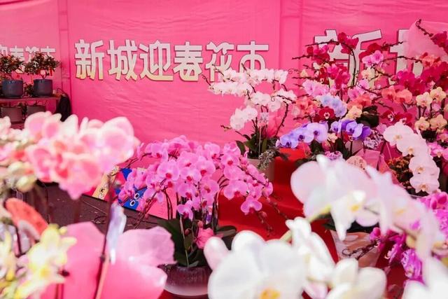 顺德北部创新湾已备好“年味大餐”，游玩攻略→