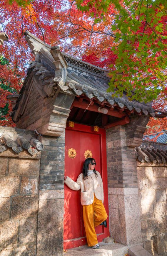 限时仙境！崂山巨峰雾凇进入最佳观赏期，打卡攻略速看