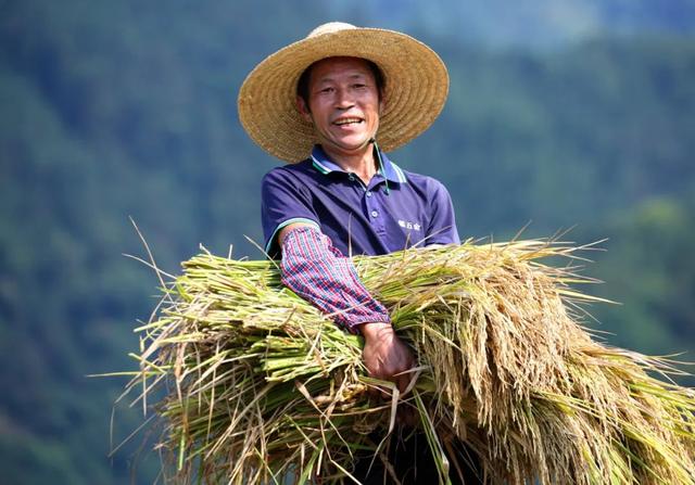 高清壁纸丨苗寨梯田“丰”景美