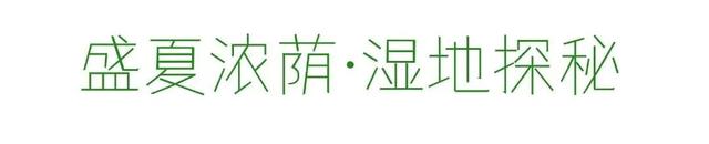 四季流转，青浦这座公园的颜值从来不掉线！