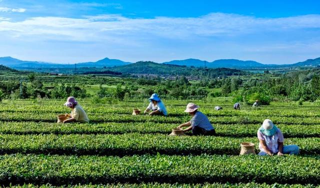 Come on！让日照因您的光影而璀璨！