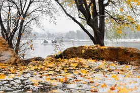 温度记丨寒潮“尾货”抵达广东，降温力度是……图片