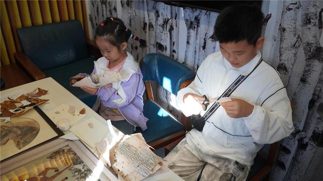 感受移动的文化会客厅 阿尔山号旅游专列正式运营