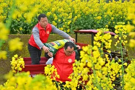 四川仁寿：田畴染新绿 春耕备耕忙图片