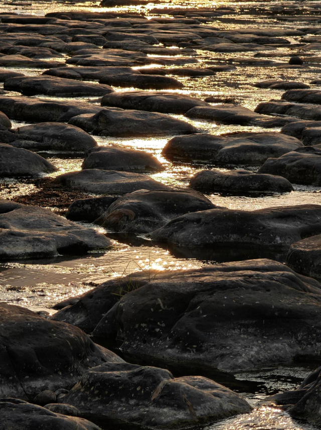 百色田东，“中国芒果之乡”不止芒果！