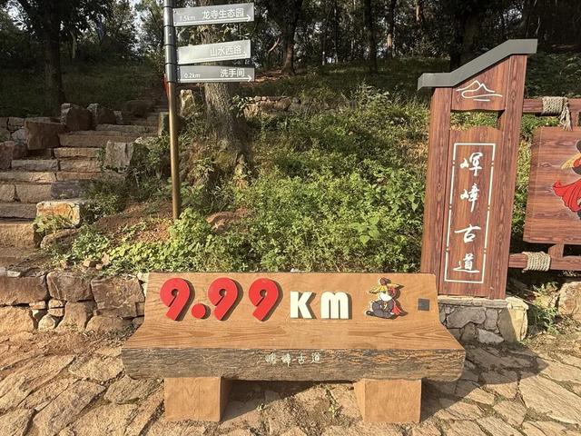 太野了！莫大意！