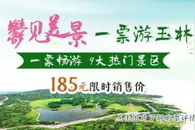 4000多辆！玉林共享电动车将上新图片