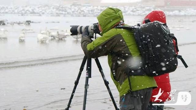 温泉袅袅、候鸟翩翩、冰雪灼灼——这个冬天，齐鲁大地邀你来场“冷”与“暖”的双重奔赴