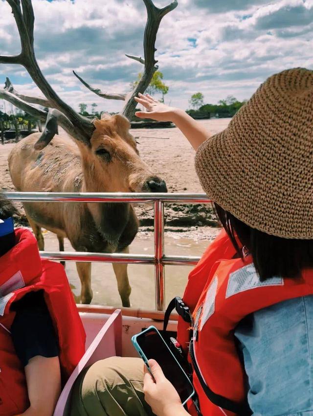 组图|黄海1号，331公里的秋日画廊