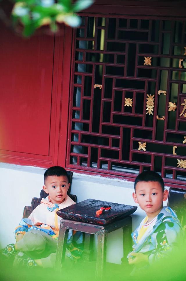 香迷糊了！昆明老品种秋天，从金殿桂香开始！