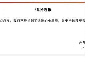 河北一动物园有熊出逃！最新消息：已找到逃跑的小黑熊图片