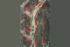 占湿地建物流园、毁天然林种黄花梨…… 国家林草局通报毁林毁草典型问题图片