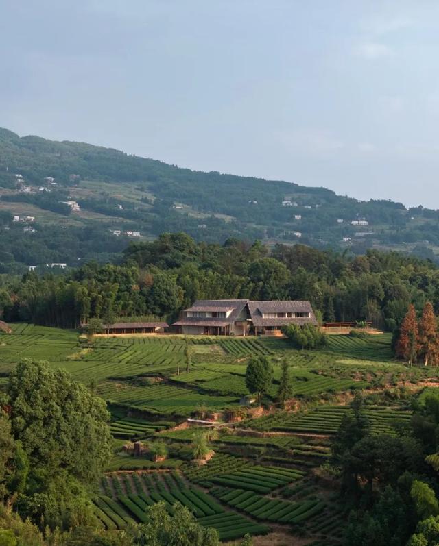 在上班和上进中，选择了上茶——住进红岩坝民宿，把生活泡成一杯茶​