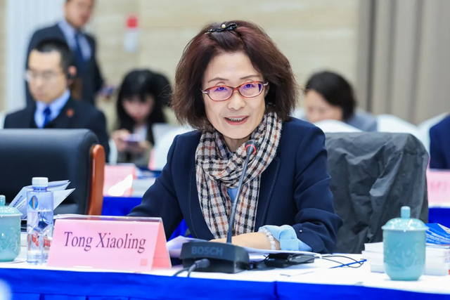 佟晓玲：防止人工智能演变为“富国俱乐部”，中国正在发力