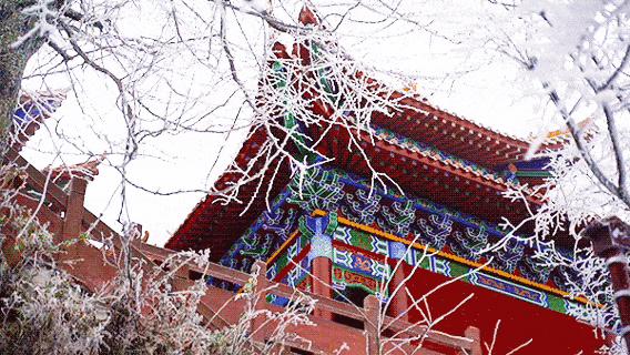 降温预警！桂林资源县雾凇盛宴即将来袭，这份观赏攻略请收好