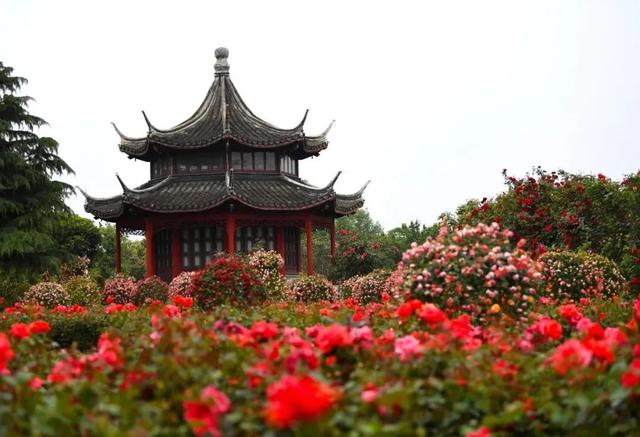 豫见两山 绿色答卷丨生态之旅——打卡“生物多样性魅力城市”南阳