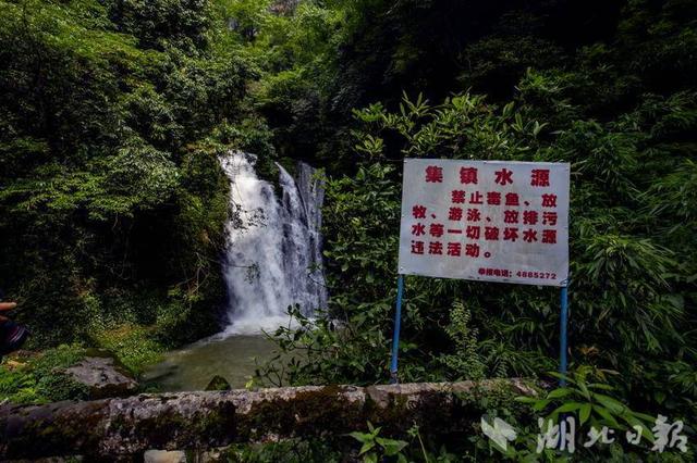 巴东金果坪：饮水水源地绘就生态画卷