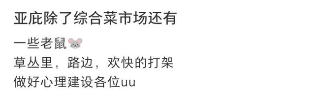 东南亚最后的「穷游天堂」，坑了多少中产？