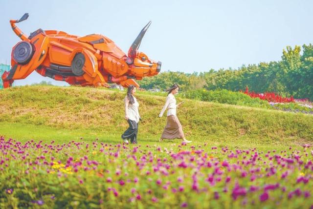 北京国际鲜花港巨型立体花坛亮相 10万平方米花海“含菊量”增142%