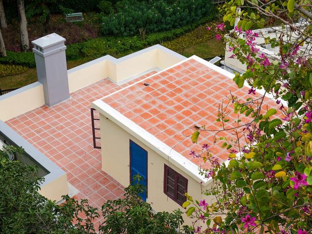 “绣花针”如何编织老城新生？——全运年千年古城越秀城市品质提升观察